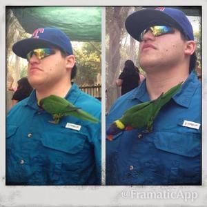 Meet your Posher, Robert